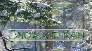 Snow and Rain - Composed by Harry Leushuis