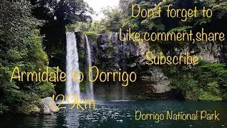 ||Short Trip with family ||Dorrigo National Park||Crystal Shower Falls