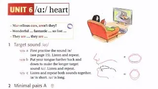 Ship Or Sheep Unit 6 Listening English Luyện Nghe Tiếng Anh