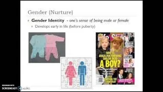 Behavioral Genetics and Gender - Part 3