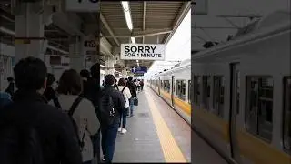 Why Japanese Trains Apologize for Being Late #facts #japan