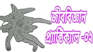 A Amoeba এর মাউন্ট।How to art amoeba। SSC  Biology prectical-02।এস এসি জীববিজ্ঞান প্রেক্টিক্যাল -০২।