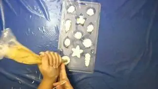 how to make seashell candy