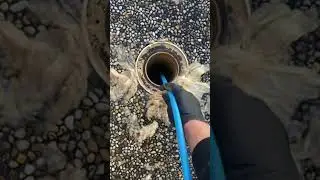 Watch us unblock this drain #blockeddrain #plumbing #brisbane #draincamera #drainjetting #drainage