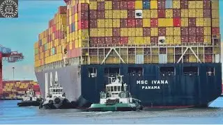 40 MINUTES OF SHIPSPOTTING PORTS OF LOS ANGELES / LONG BEACH CALIFORNIA - January 2026