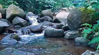 Natural River Sounds for Total Relaxation