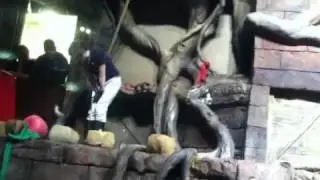 Otter Tricks