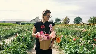 Iris Gonzalez - Nothing but Flowers