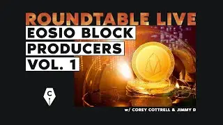 Roundtable - EOSIO Block Producers Vol. 1 / The Cryptowriter Podcast #17