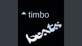 Timbo Beats 5