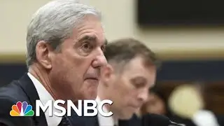 Mueller Insider Says Special Counsel&rsquo;s Investigation Fell Short | Deadline | MSNBC