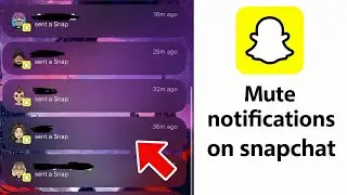 How to mute notifications on snapchat