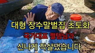 장수여왕벌이 바글바글~# 국가대표 쩔템님과 함께 #장수말벌제거