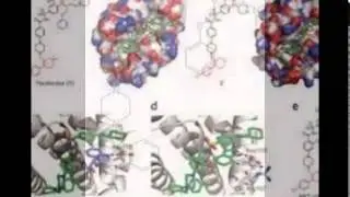 bcl2 inhibitor