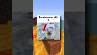 Рождественские мемы 🎅