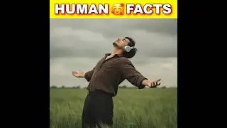 Top 5 Human 😍 Psychology in Half a Minute ! ❤️🔑 #facts #psychology #human