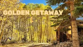 Mammoth Lakes | Hwy 395 | Fall Colors 2022