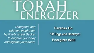Torah Energizer #299 - Parshas Bo, 