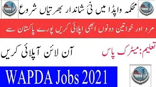 Wapda Jobs 2022 ITESCO WAPDA Jobs022 Application Form Download |www.tesco.gov.pk #jobs #WAPDA_Jobs