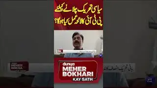 PTI Strategy For Political Movement &mdash; Meher Bokhari #shorts #shortsfeeds