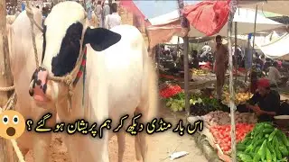 Domail Mandi||Sabzi Mandi || yousaf vlog.
