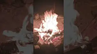 I Desire The Warmth Of The Fire 🔥 It's Cold Today! #fire #ytshortsviral #bonfire #craving #warmth