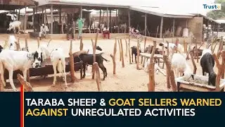 Animal Purchase Regulation: Taraba Sheep and Goat Sellers Warned Against Unregulated activities