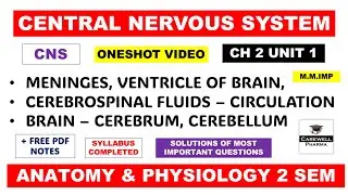 Unit 1 Central Nervous System CNS complete || Brain CSF Ventricles Meninges | hap 2nd Semester
