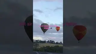 Hot air balloons in Yarra Valley Melbourne Australia 🇦🇺 #shorts