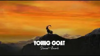 YouNG GOAT slowed reverb song cheema