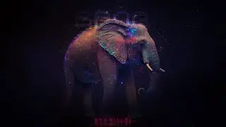 Spoq - Sidedish (official audio)