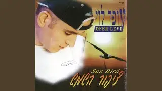 חיפשתי אהבה