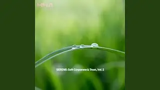 Sustainable Growth
