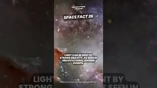 🔭 Gravity Can Literally Bend Light
