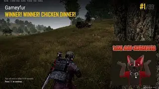 Twenty ninth win #pubg #gaming