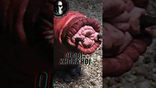 CREEPWAVE 15 - DEATH WORM OF MONGOLIA #creepwave #scary #cryptid #alien #spooky