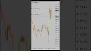 BTMM: RUS2000 TYP1 M - TRUMP TRAP