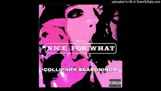 Drake - Nice For What (Mr. Collipark Remix) (Dirty)
