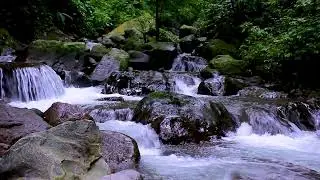 Mountain River Flowing Water Sounds for Relaxation, Calm White Noise to Reduce Stress
