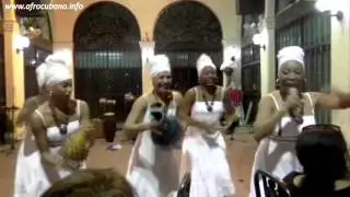 Rumba Cubana - Кубинская румба на Кубе - 28 дней в Гаване c Key Hedera (часть 4)