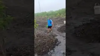 Mbah Lurah Kenongo Tulangan