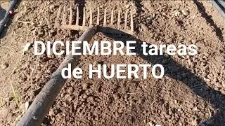 DICIEMBRE tareas de HUERTO 