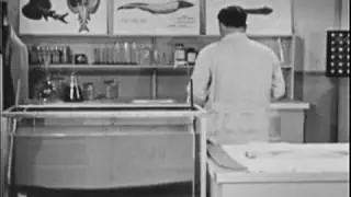 Electric Eel : Moody Institute of Science.  (1954 Educational Film) Part 1 of 2