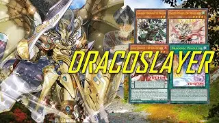 [NEW] DRACOSLAYER deck Jun.2022 | Post Darkwing Blast