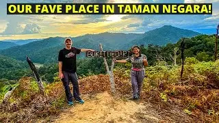 Kuala Tahan town + chalet tour & OUR FAVOURITE HIKE - Taman Negara, Pahang - MALAYSIA TRAVEL VLOG