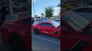 How about an acre of Mustangs #automobile #diy #dragracing #car  #cars #carshow #docsboost
