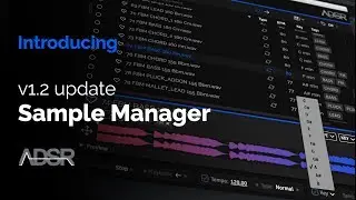 ADSR SAMPLE MANAGER 1.2 update - Key detection, Transpose, Standalone and more