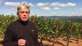 Vineyard Sampling with Ken Wright