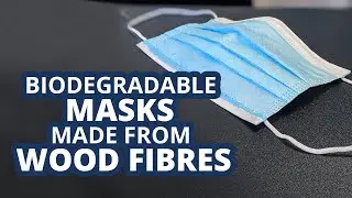 Biodegradable disposable masks - biodegradable cellulosic filter media
