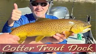 November 5, 2025 Arkansas Trout Fishing Report